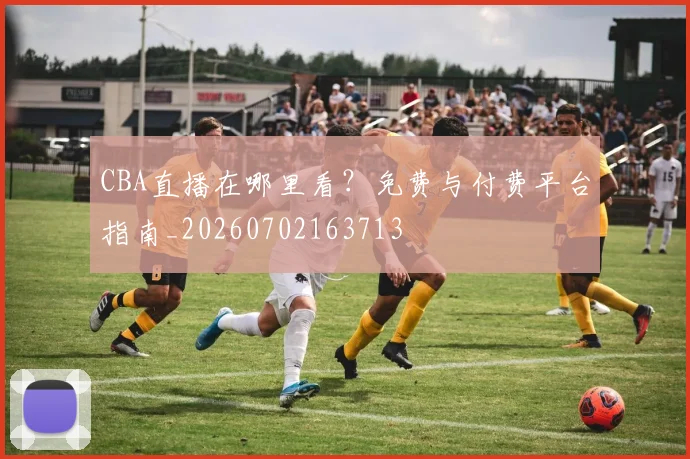 CBA直播在哪里看？免费与付费平台指南_20260702163713