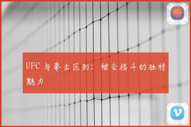 UFC 与拳击区别：综合格斗的独特魅力