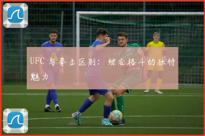 UFC 与拳击区别：综合格斗的独特魅力