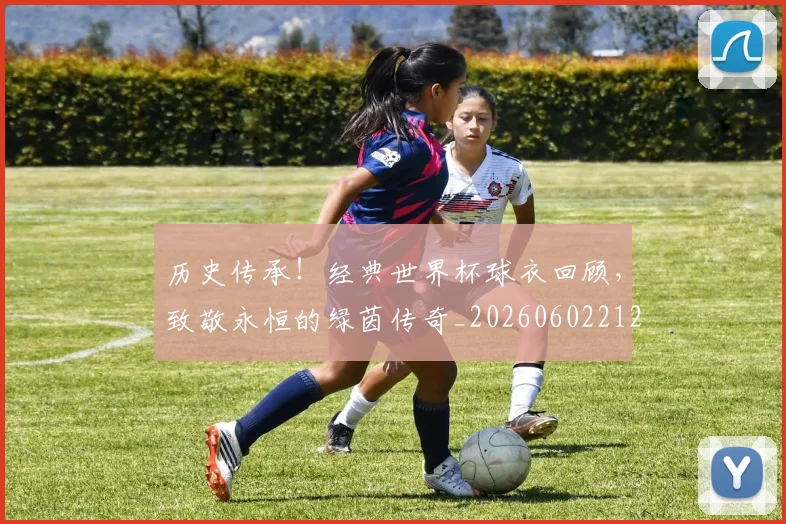 历史传承！经典世界杯球衣回顾，致敬永恒的绿茵传奇_20260602212727