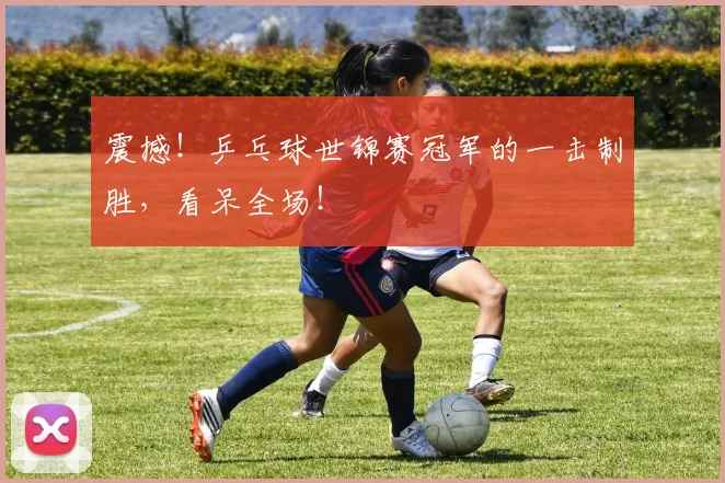 震撼!乒乓球世锦赛冠军的一击制胜,看呆全场!
