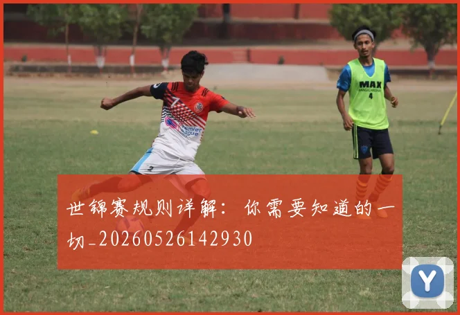 世锦赛规则详解：你需要知道的一切_20260526142930